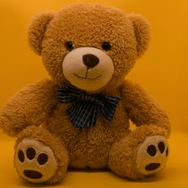 Soft Teddy Bear